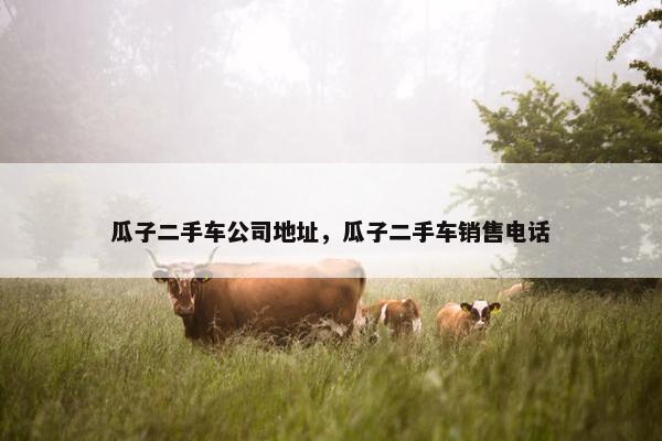 瓜子二手车公司地址，瓜子二手车销售电话