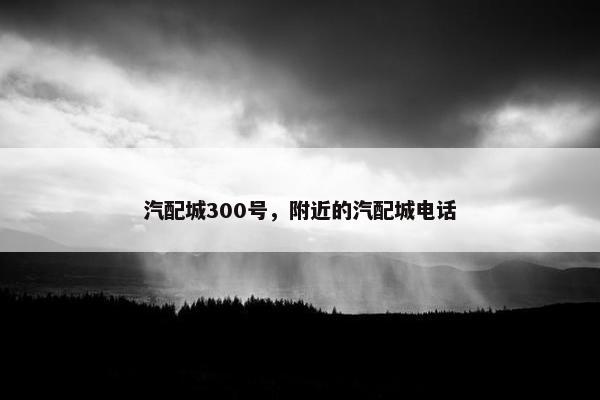 汽配城300号，附近的汽配城电话