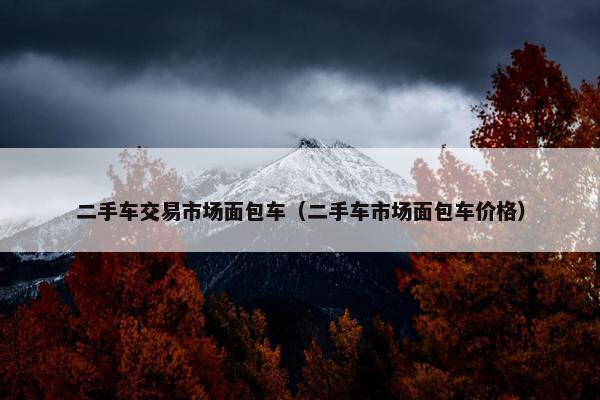 二手车交易市场面包车（二手车市场面包车价格）