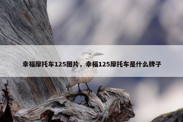幸福摩托车125图片，幸福125摩托车是什么牌子