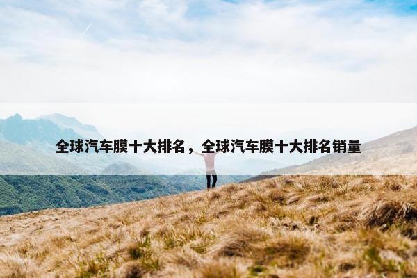 全球汽车膜十大排名，全球汽车膜十大排名销量