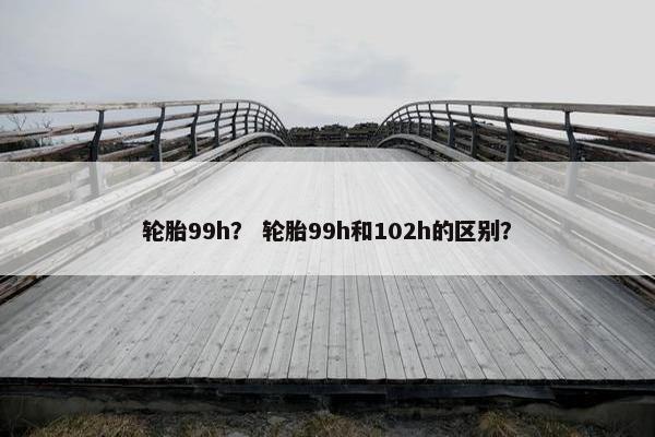 轮胎99h？ 轮胎99h和102h的区别？