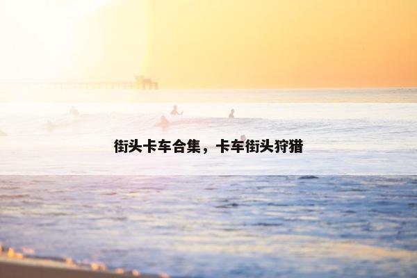 街头卡车合集，卡车街头狩猎