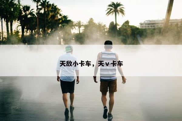 天敌小卡车，天ⅴ卡车