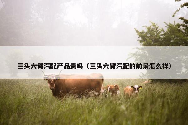 三头六臂汽配产品贵吗（三头六臂汽配的前景怎么样）