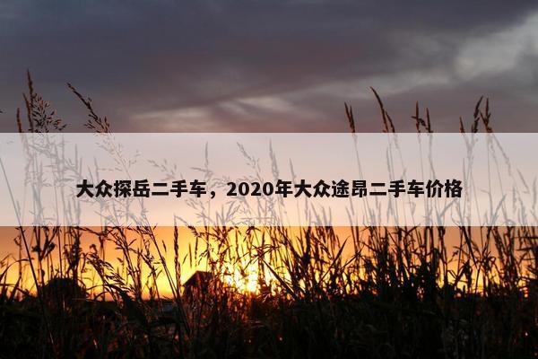 大众探岳二手车，2020年大众途昂二手车价格