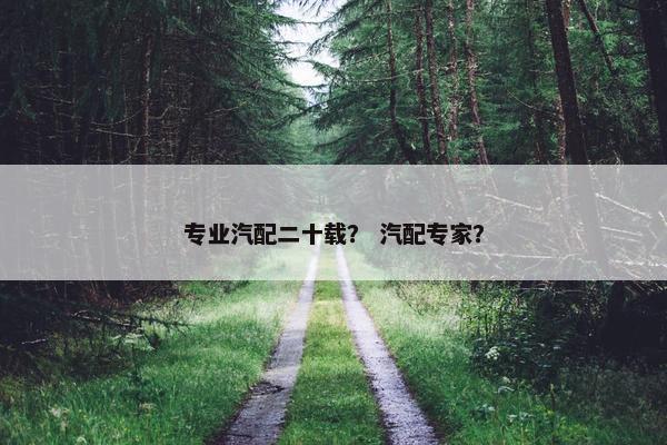 专业汽配二十载？ 汽配专家？