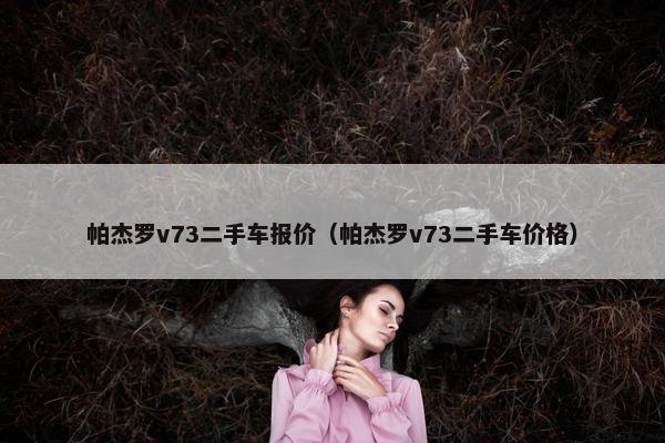 帕杰罗v73二手车报价（帕杰罗v73二手车价格）