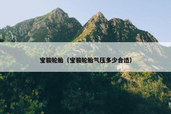 宝骏轮胎（宝骏轮胎气压多少合适）