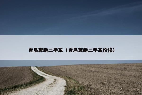 青岛奔驰二手车（青岛奔驰二手车价格）