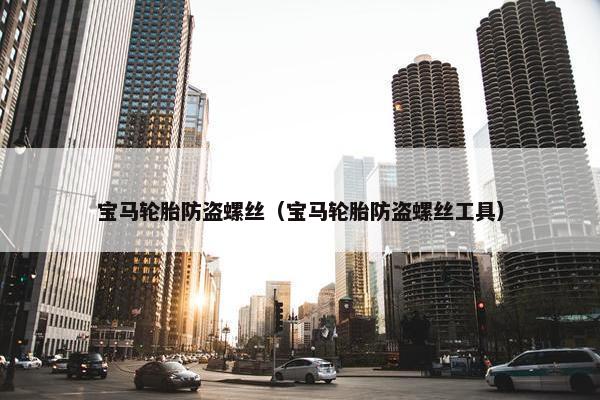 宝马轮胎防盗螺丝（宝马轮胎防盗螺丝工具）