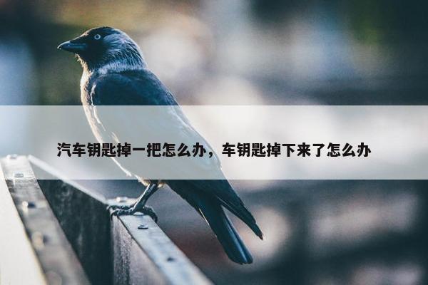 汽车钥匙掉一把怎么办，车钥匙掉下来了怎么办