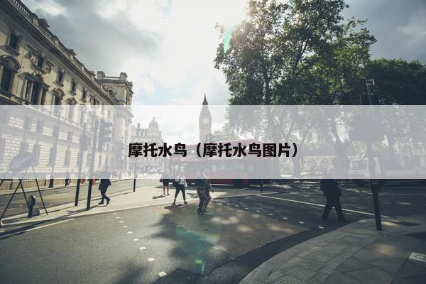 摩托水鸟（摩托水鸟图片）