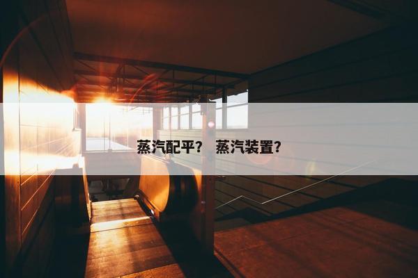 蒸汽配平？ 蒸汽装置？