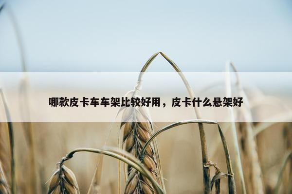 哪款皮卡车车架比较好用，皮卡什么悬架好