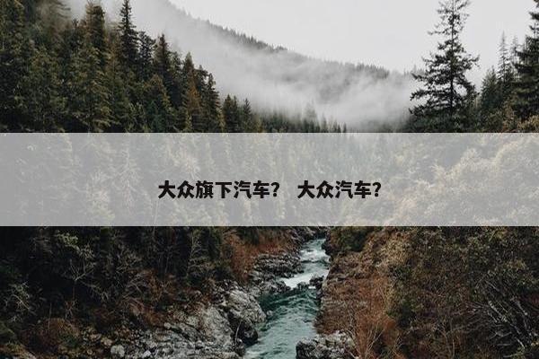 大众旗下汽车？ 大众汽车？