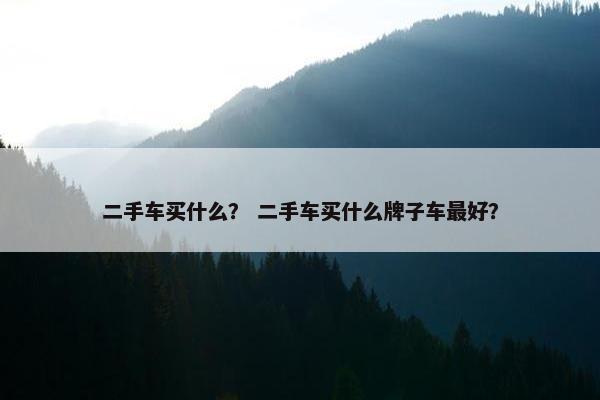 二手车买什么？ 二手车买什么牌子车最好？