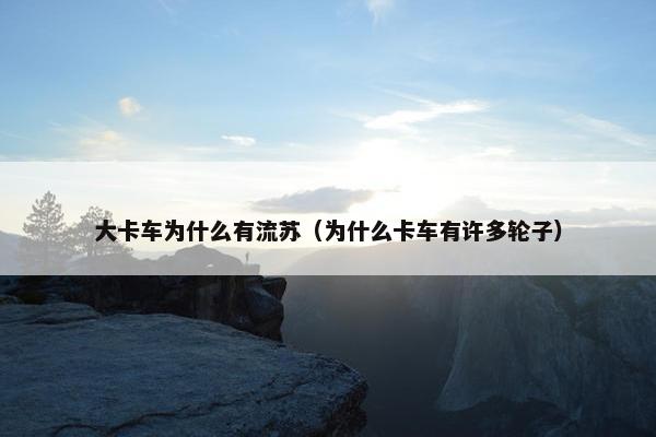大卡车为什么有流苏（为什么卡车有许多轮子）