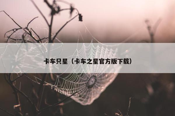 卡车只星（卡车之星官方版下载）