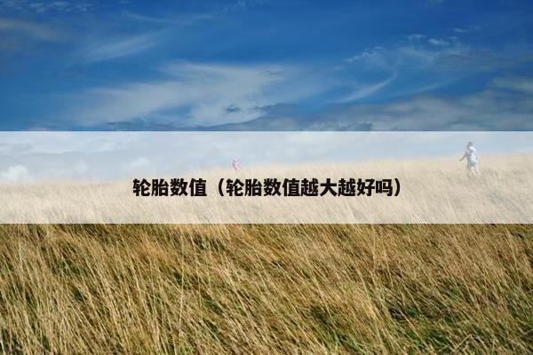 轮胎数值（轮胎数值越大越好吗）