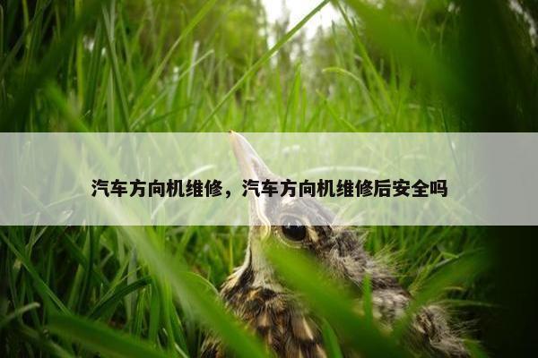 汽车方向机维修，汽车方向机维修后安全吗