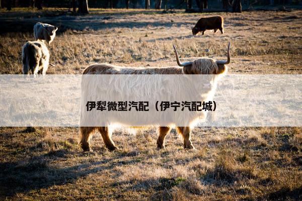 伊犁微型汽配（伊宁汽配城）