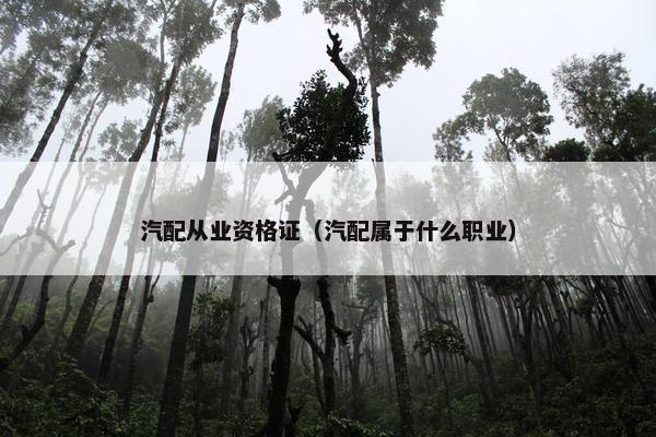 汽配从业资格证（汽配属于什么职业）
