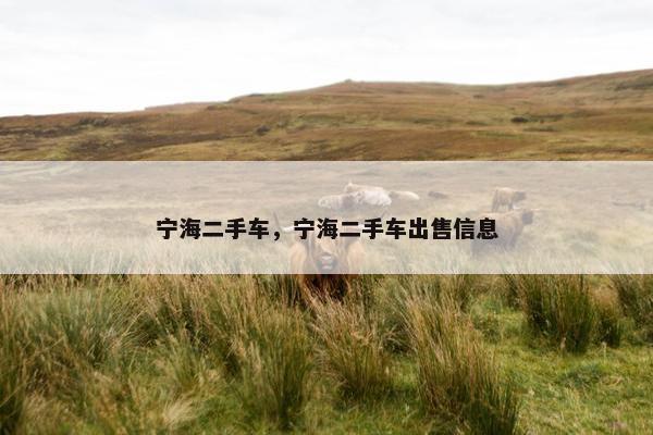 宁海二手车，宁海二手车出售信息
