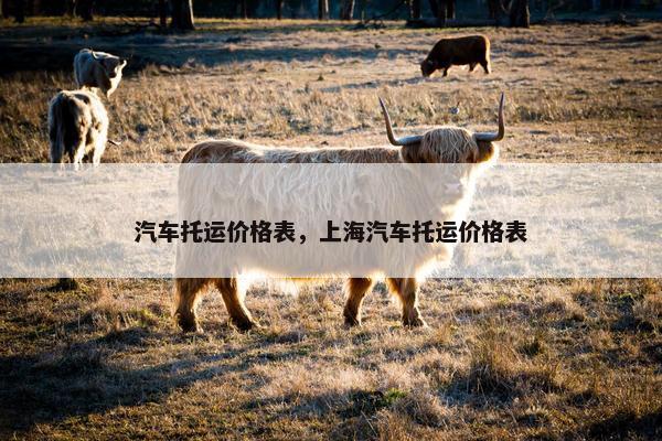 汽车托运价格表，上海汽车托运价格表