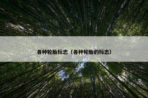 各种轮胎标志（各种轮胎的标志）