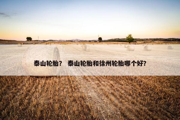 泰山轮胎？ 泰山轮胎和徐州轮胎哪个好？