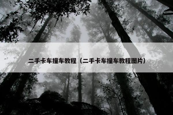 二手卡车撞车教程（二手卡车撞车教程图片）