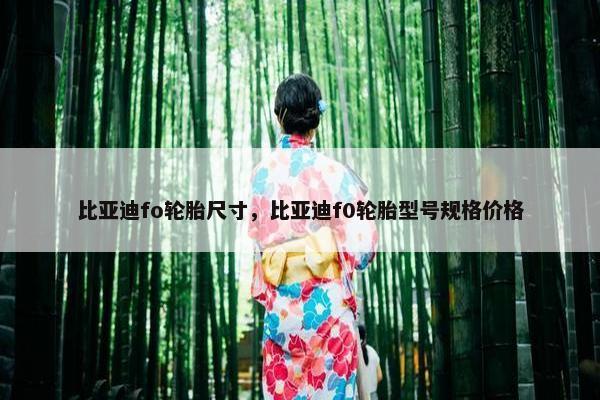 比亚迪fo轮胎尺寸，比亚迪f0轮胎型号规格价格