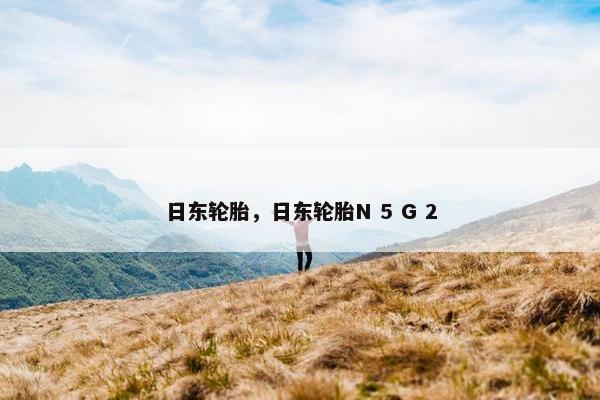 日东轮胎，日东轮胎N 5 G 2