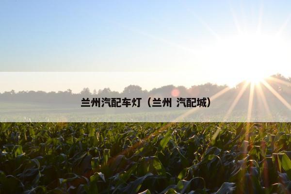 兰州汽配车灯（兰州 汽配城）