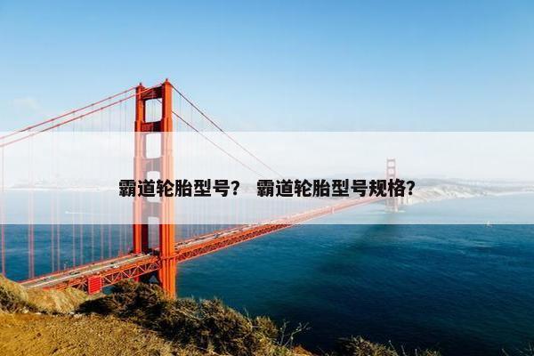 霸道轮胎型号？ 霸道轮胎型号规格？