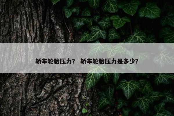 轿车轮胎压力？ 轿车轮胎压力是多少？