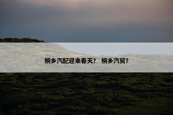 桐乡汽配迎来春天？ 桐乡汽贸？