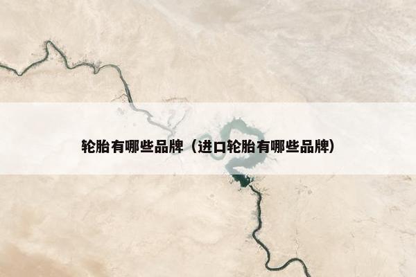 轮胎有哪些品牌（进口轮胎有哪些品牌）