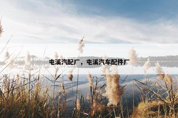 屯溪汽配厂，屯溪汽车配件厂