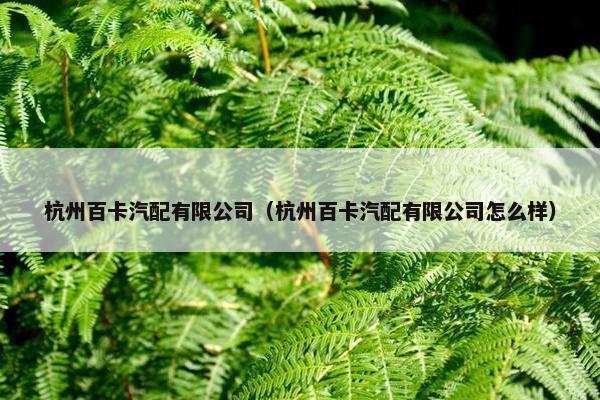 杭州百卡汽配有限公司（杭州百卡汽配有限公司怎么样）