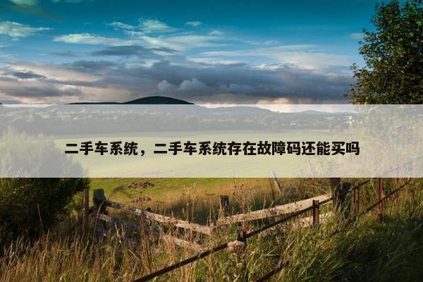 二手车系统，二手车系统存在故障码还能买吗