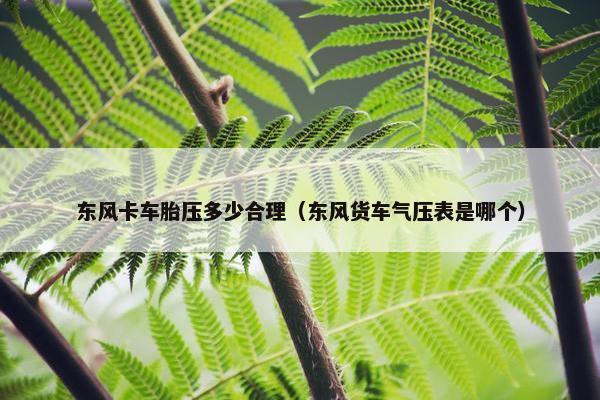 东风卡车胎压多少合理（东风货车气压表是哪个）