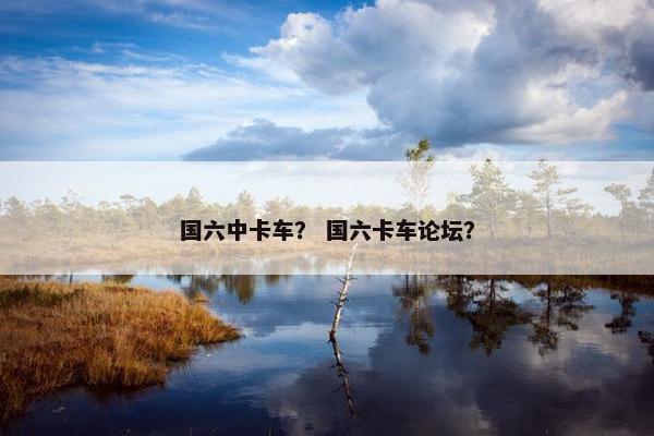 国六中卡车？ 国六卡车论坛？
