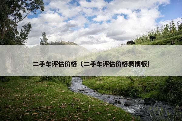 二手车评估价格（二手车评估价格表模板）