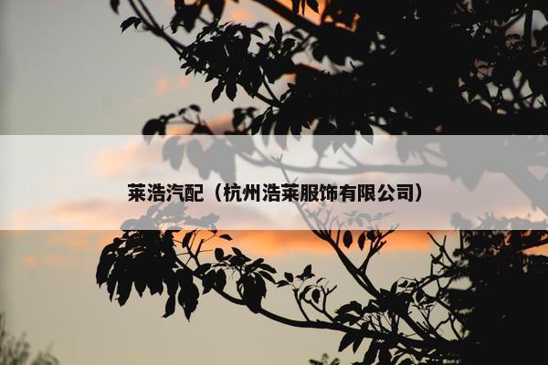 莱浩汽配（杭州浩莱服饰有限公司）