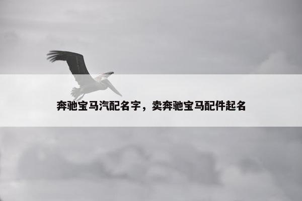 奔驰宝马汽配名字，卖奔驰宝马配件起名