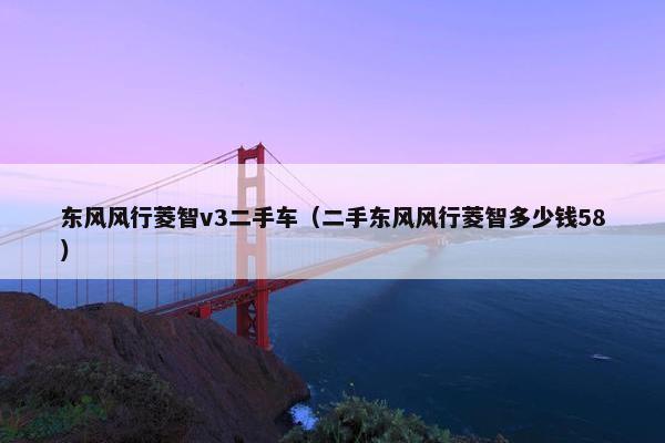 东风风行菱智v3二手车（二手东风风行菱智多少钱58）