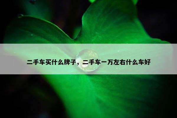 二手车买什么牌子，二手车一万左右什么车好