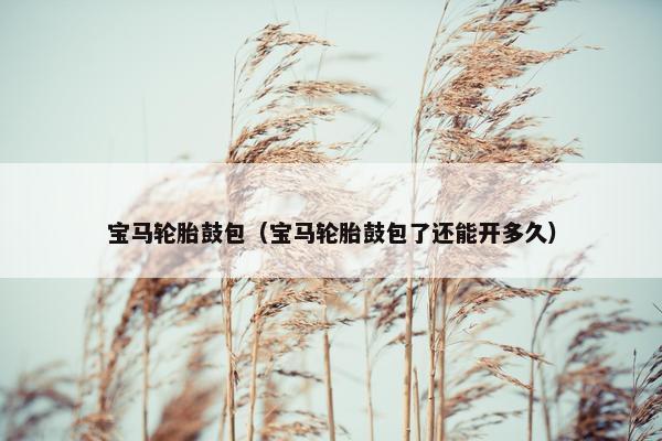宝马轮胎鼓包（宝马轮胎鼓包了还能开多久）